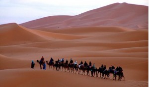 lowcost-morocco-travel-camel-riding6